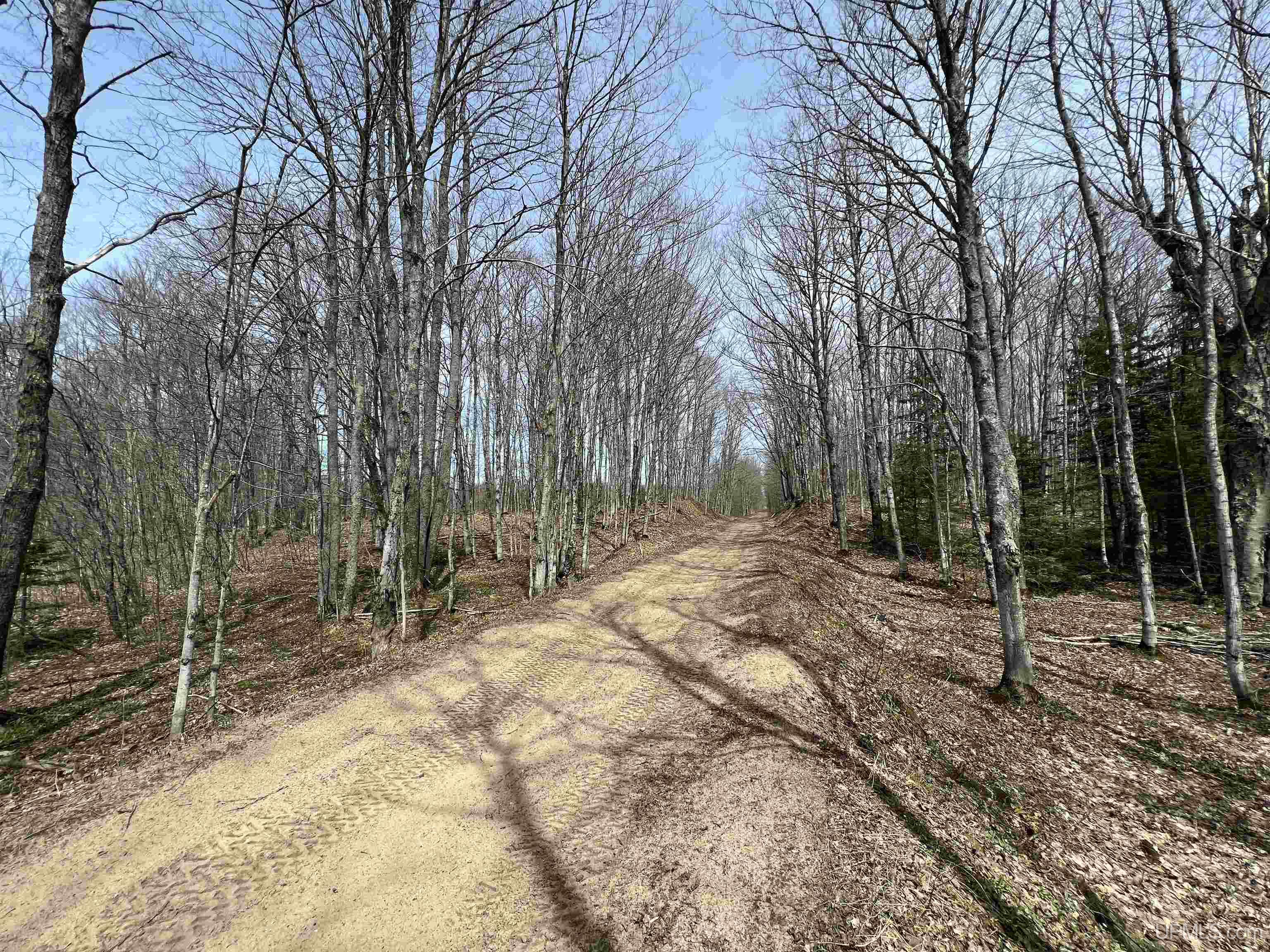 H58 St Shingleton Mi 49895 Shingleton, MI 49884 - Photo 13 of 21