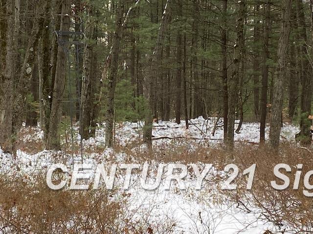 0 West Wackerly Road Sanford, MI 48657 - Photo 17 of 19