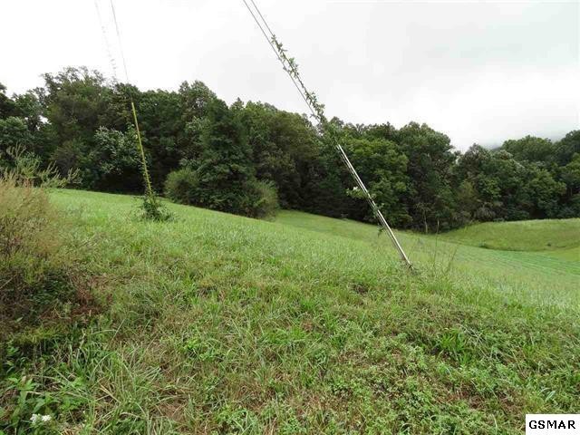 29 Sugar Tree Drive Sevierville, TN 37862 - Photo 5 of 12