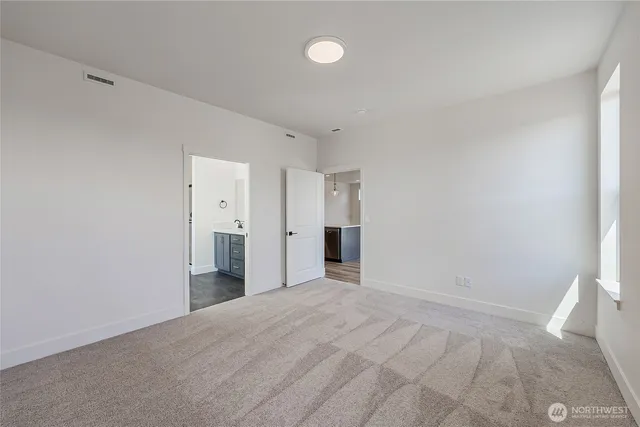 a view of a big room with closet and windows