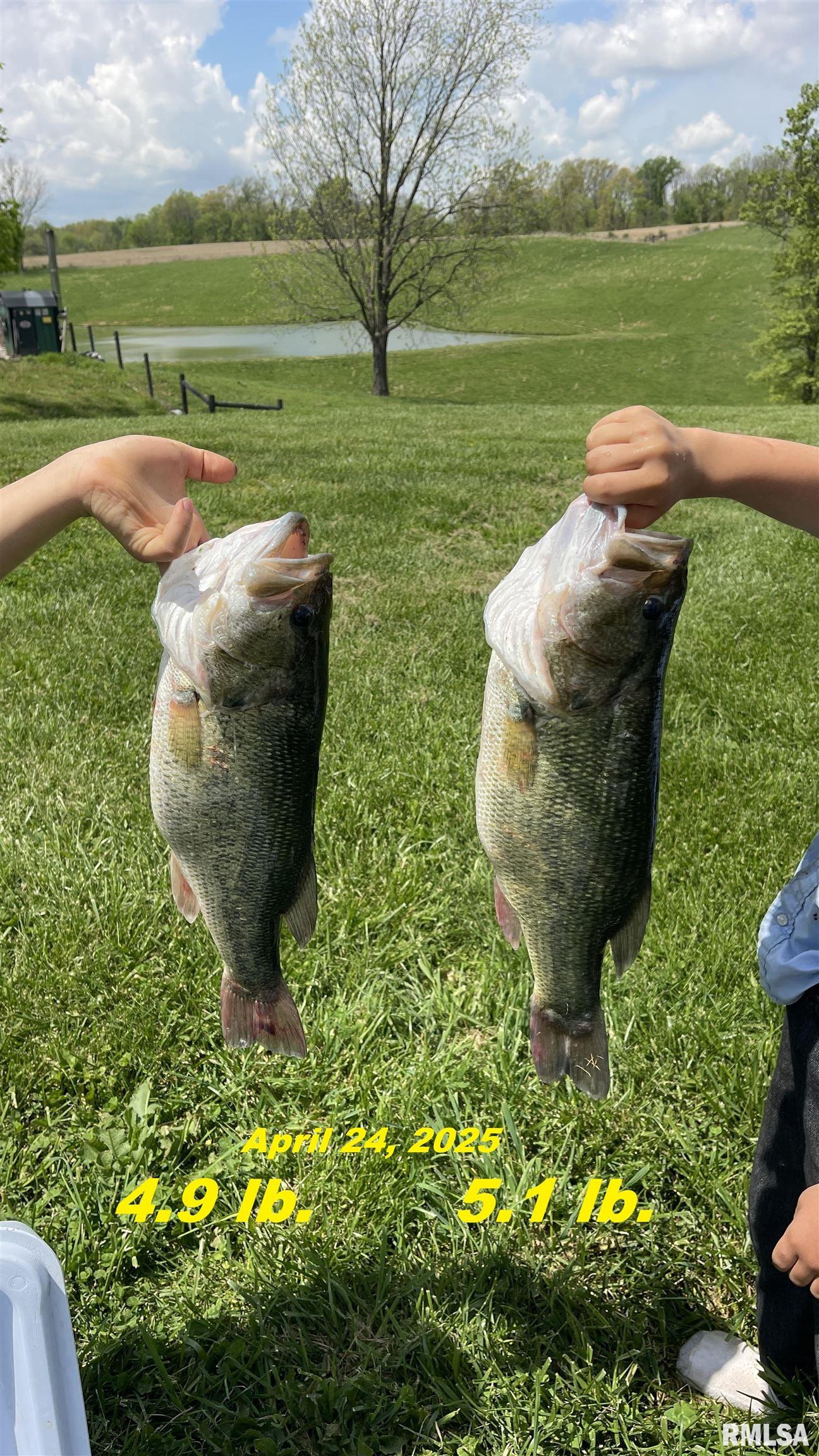 1548 Koehn Road Rockwood, IL 62280 - Photo 2 of 65