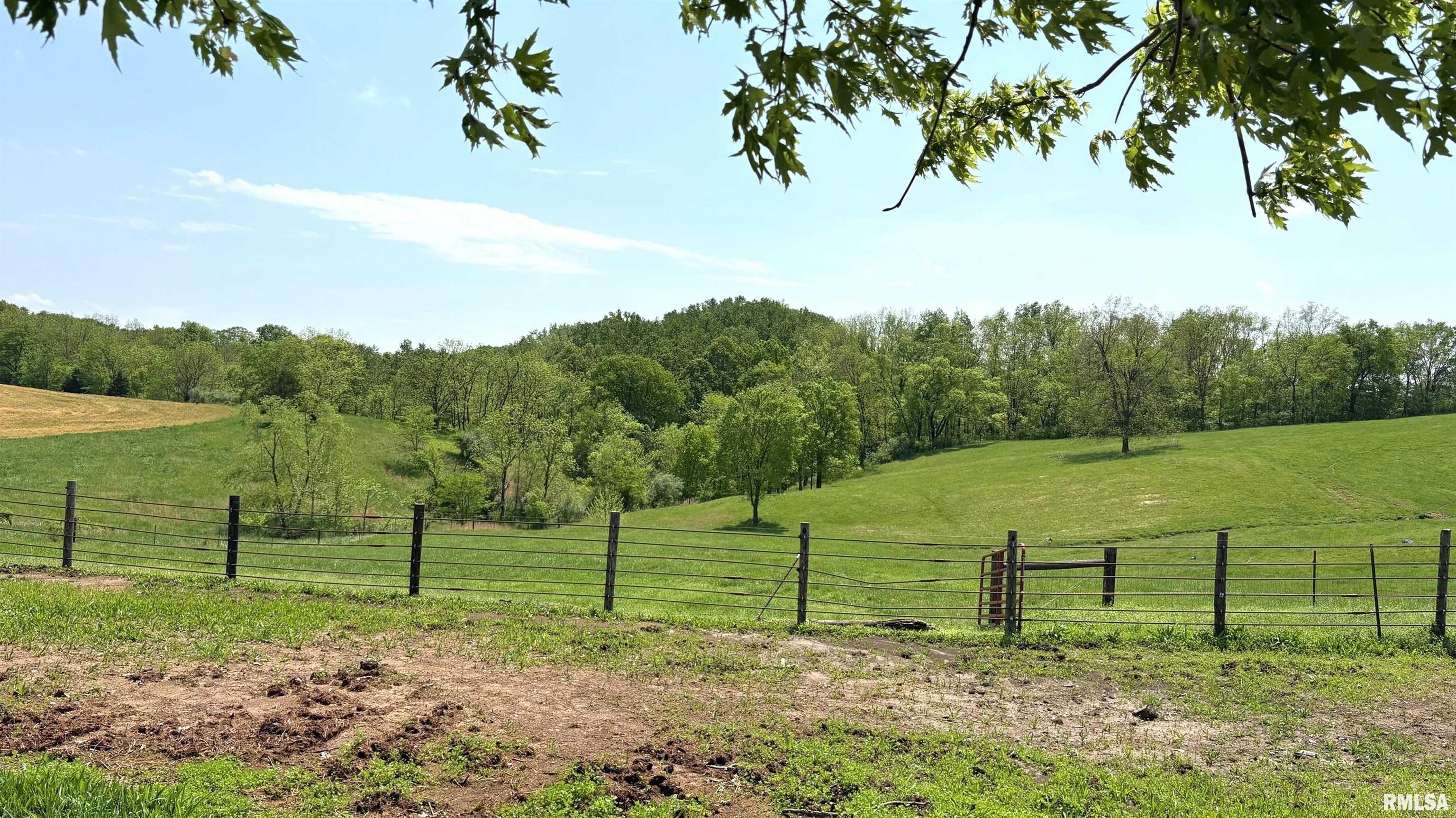 1548 Koehn Road Rockwood, IL 62280 - Photo 51 of 65