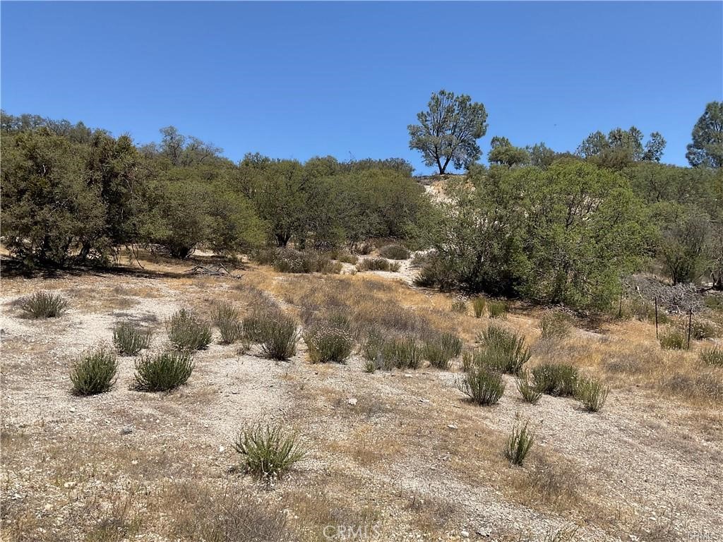 0 Martinez Road King City, CA 93930 - Photo 49 of 52
