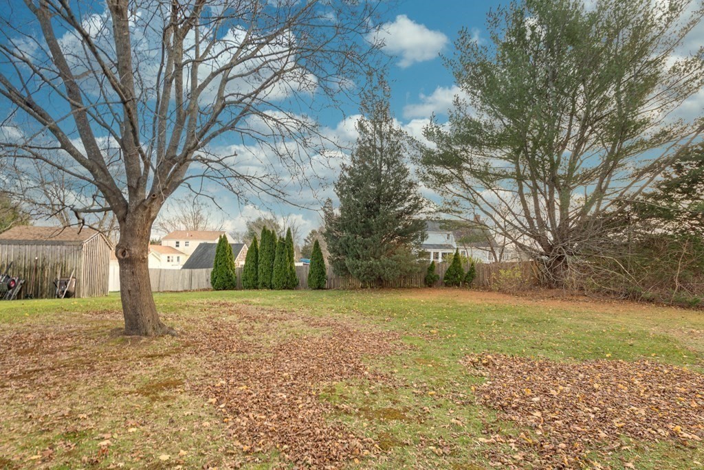 26 Carver Road Plymouth, MA 02360 - Photo 22 of 25 a view of a yard with a tree