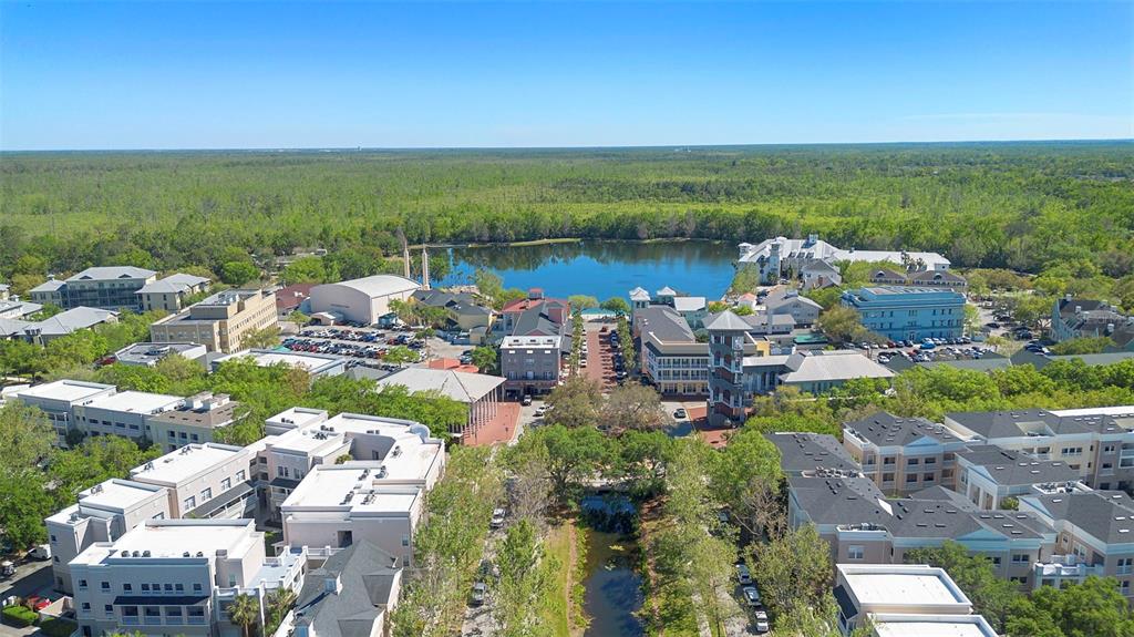 907 Pawstand Road Celebration, FL 34747 - Photo 45 of 49 a view of a lake with a city