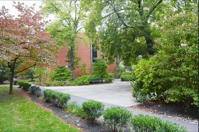 a view of a park with large trees