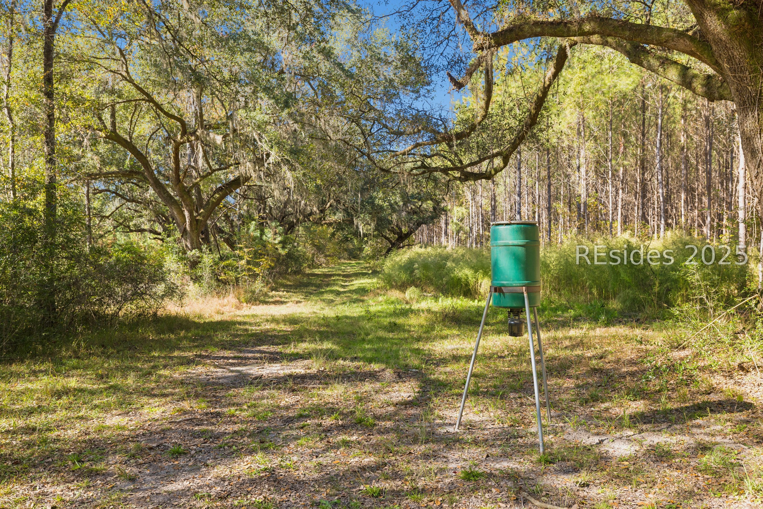 0 Morgandollar Road Ridgeland, SC 29936 - Photo 11 of 38