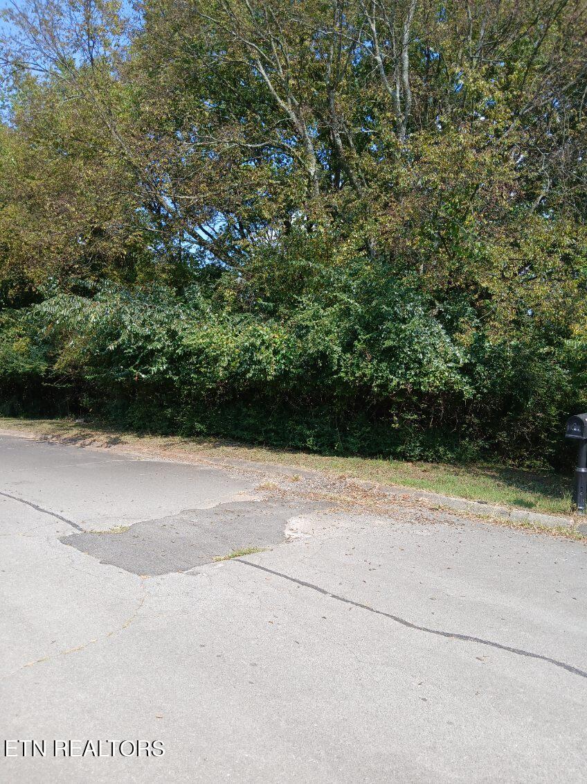 161 Trail View Drive Loudon, TN 37774 - Photo 3 of 3 image000002