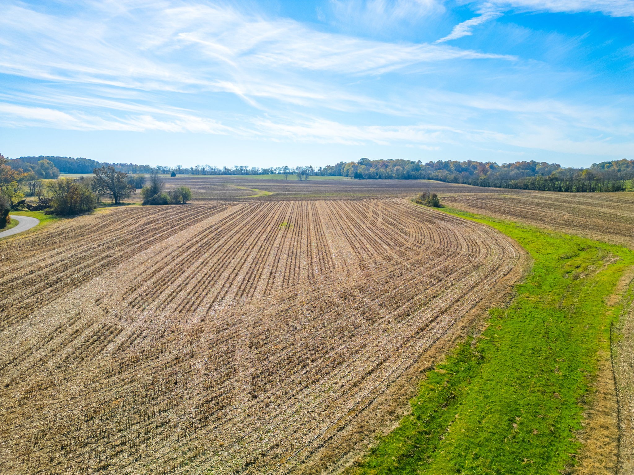 7265 Bob Carr Road Cross Plains, TN 37049 - Photo 4 of 14