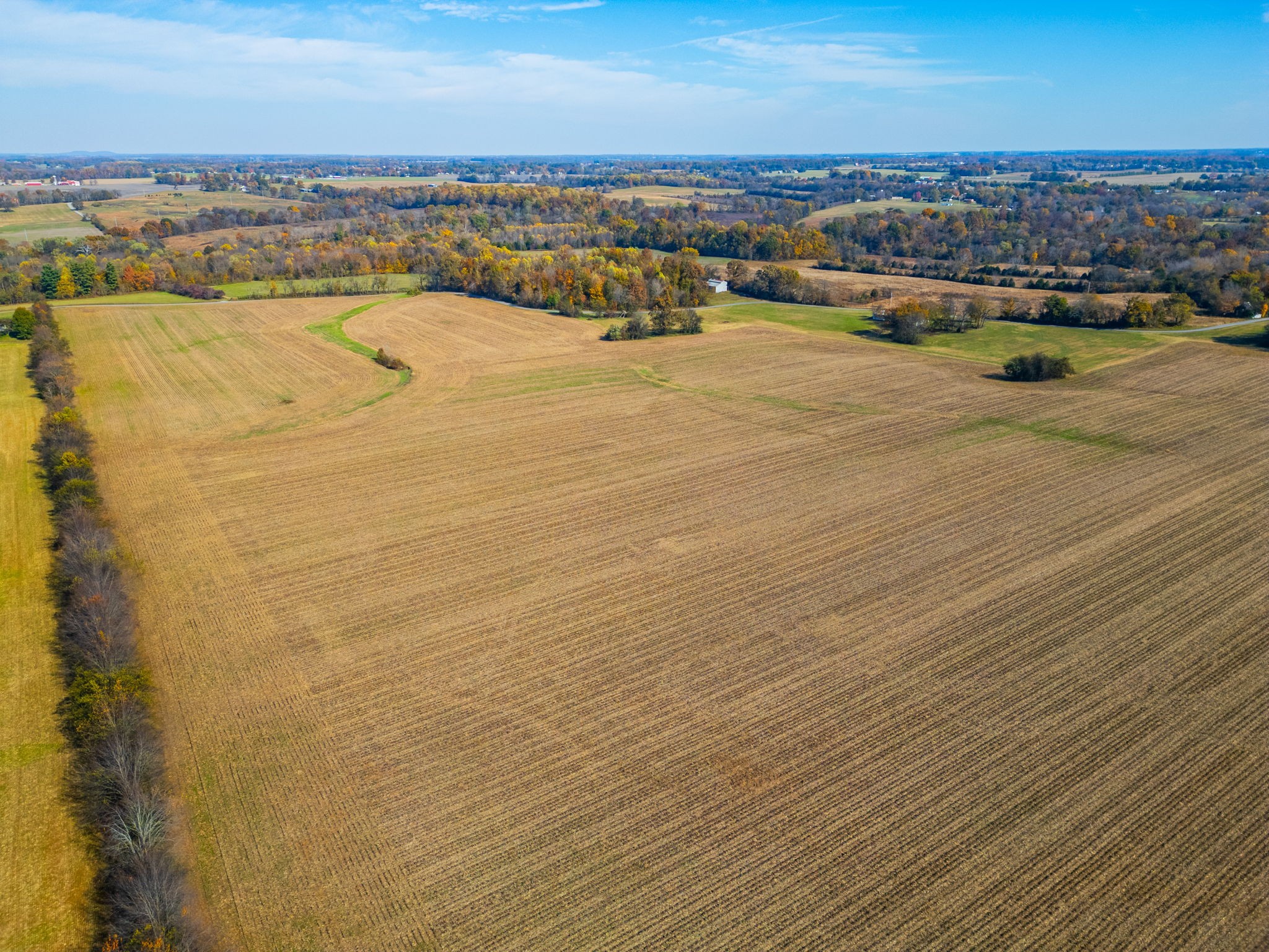 7265 Bob Carr Road Cross Plains, TN 37049 - Photo 5 of 14