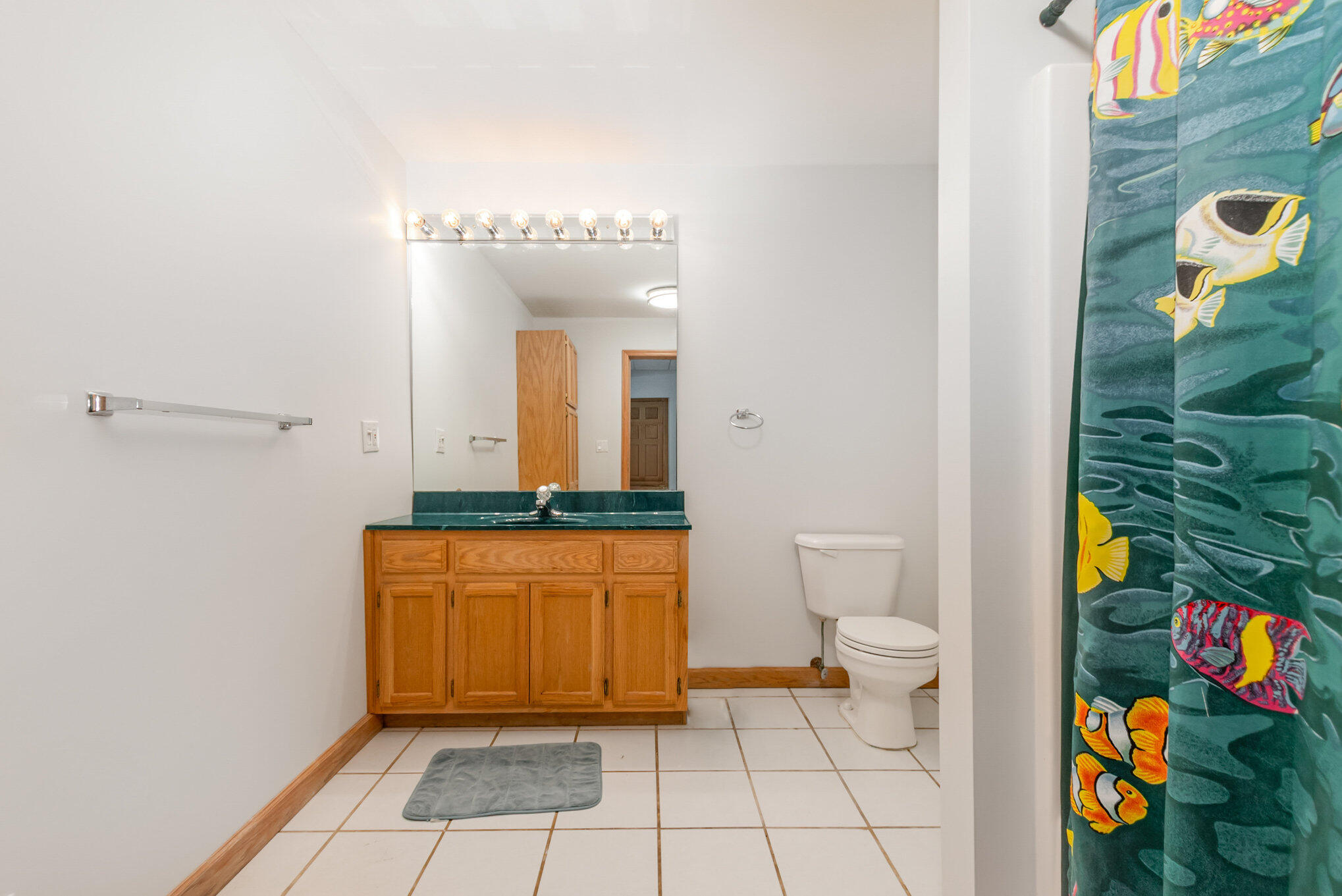 4815 Herrington Road North Webberville, MI 48892 - Photo 25 of 28 024_file_415