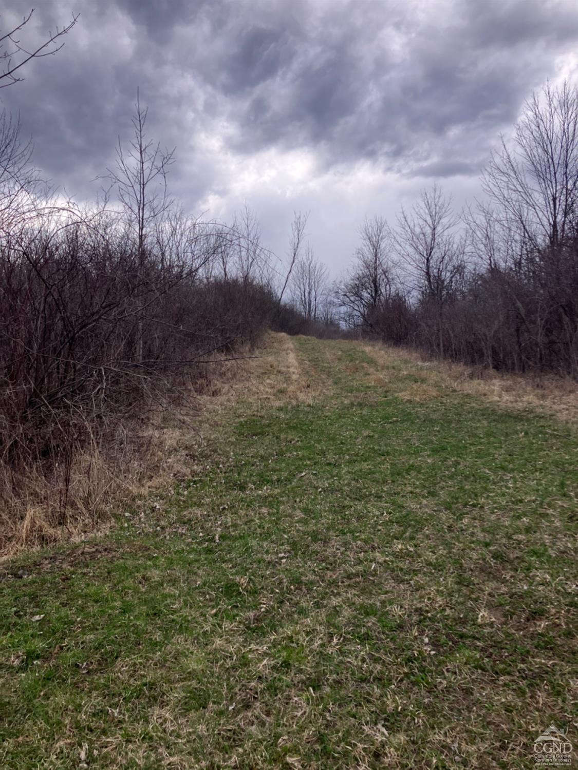 0 Embought Road Catskill, NY 12414 - Photo 12 of 12 Photo 12