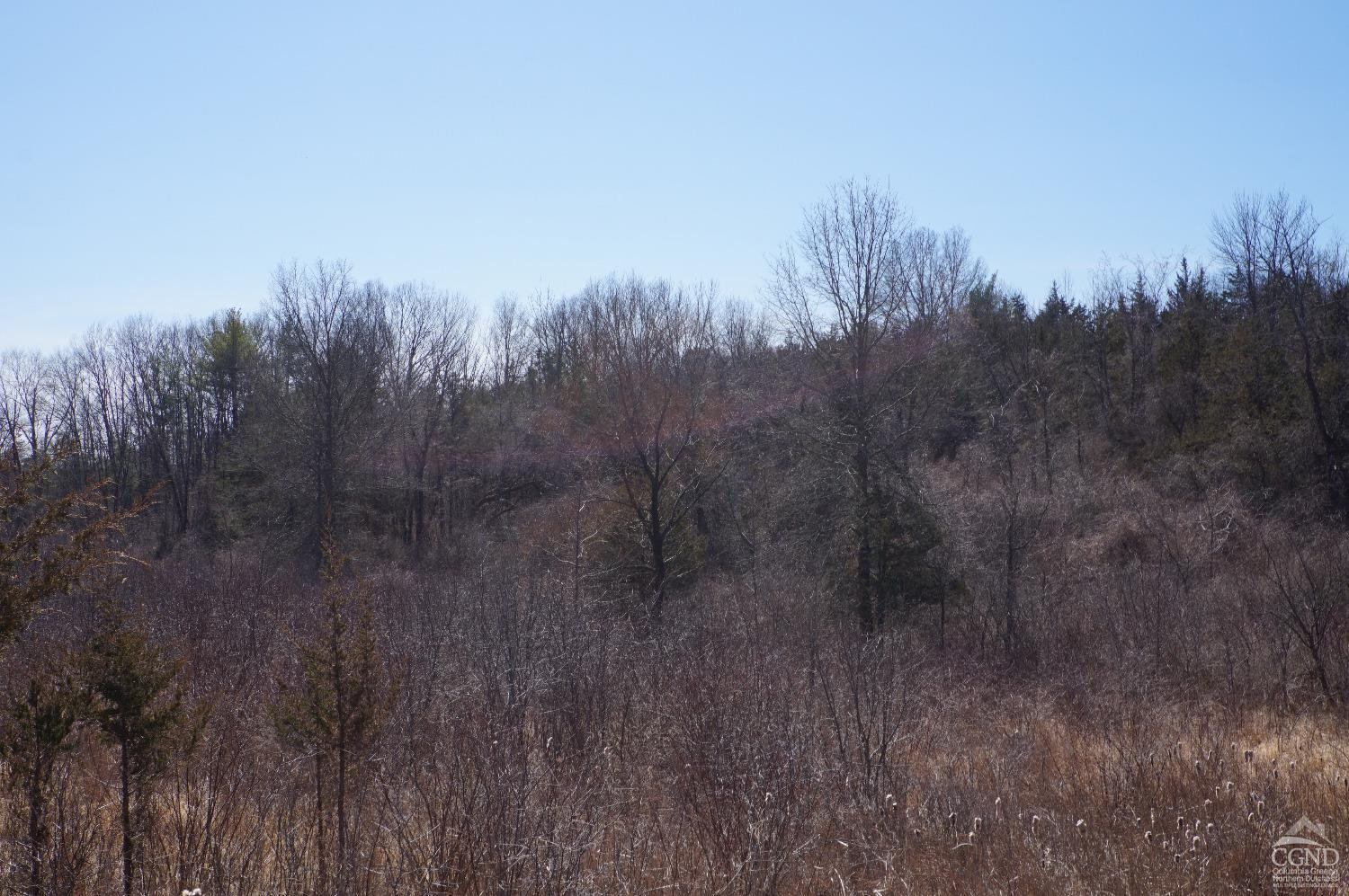 0 Embought Road Catskill, NY 12414 - Photo 3 of 12 Photo 3