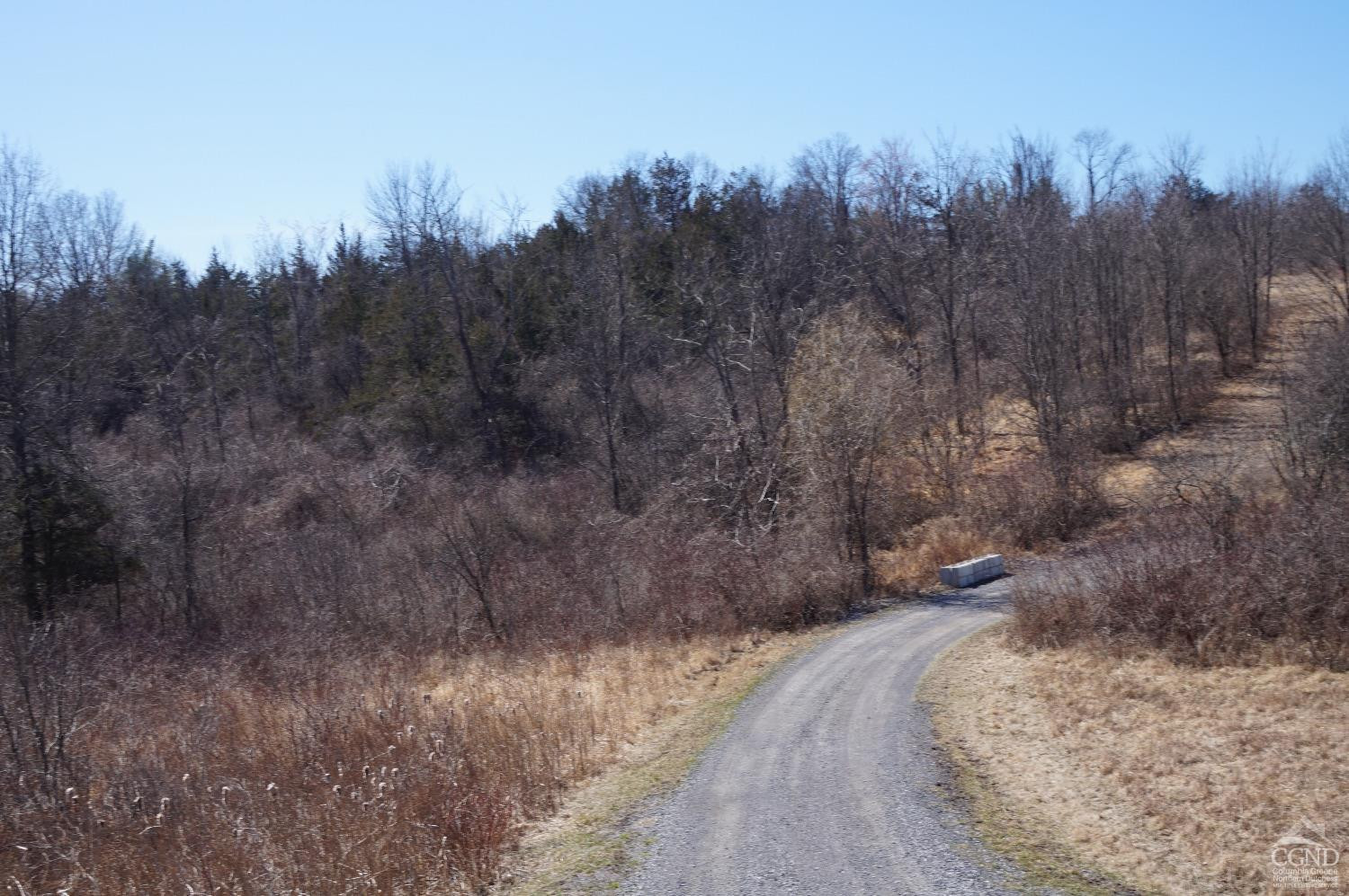 0 Embought Road Catskill, NY 12414 - Photo 4 of 12 Photo 4