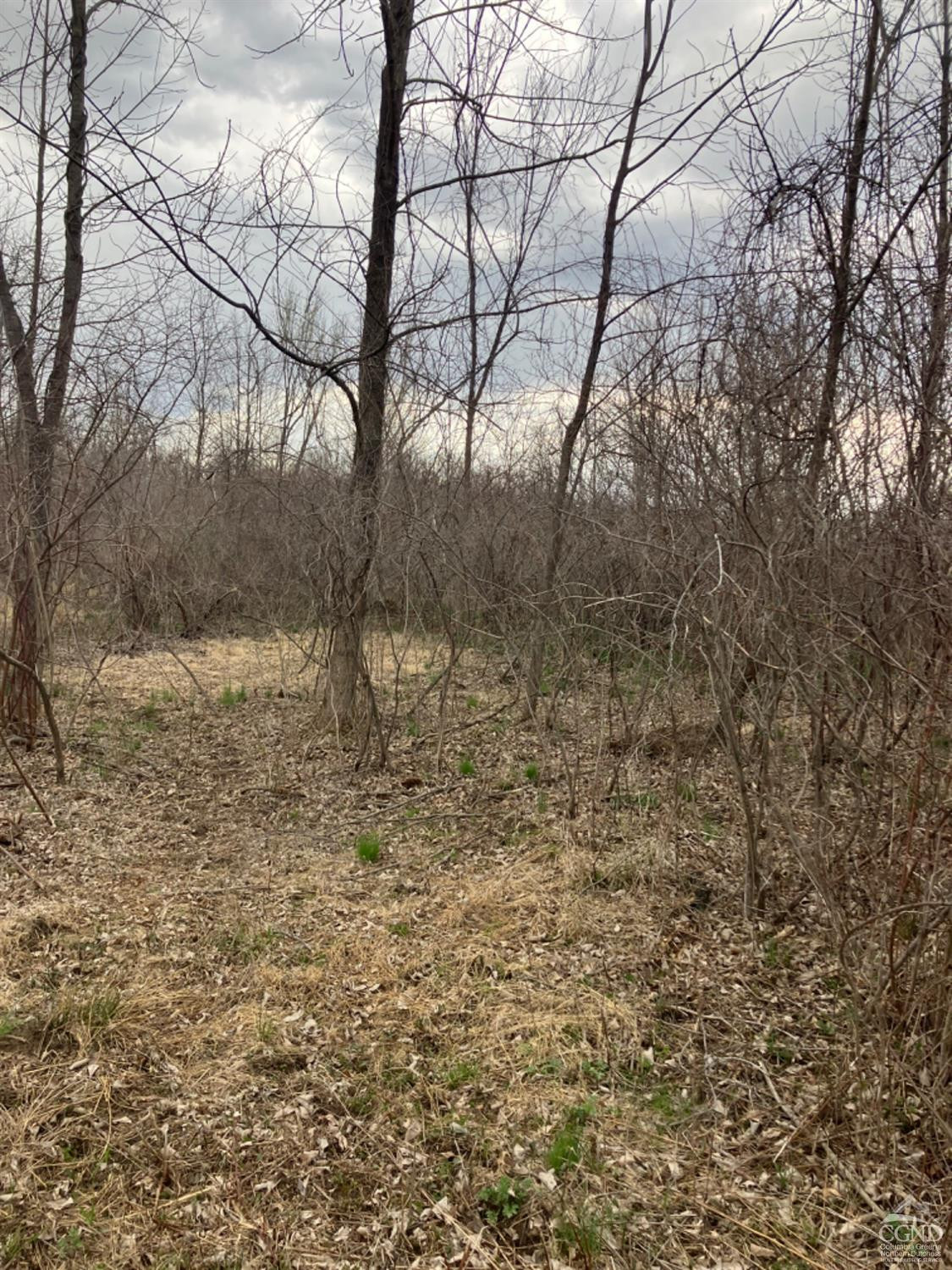 0 Embought Road Catskill, NY 12414 - Photo 8 of 12 Photo 8