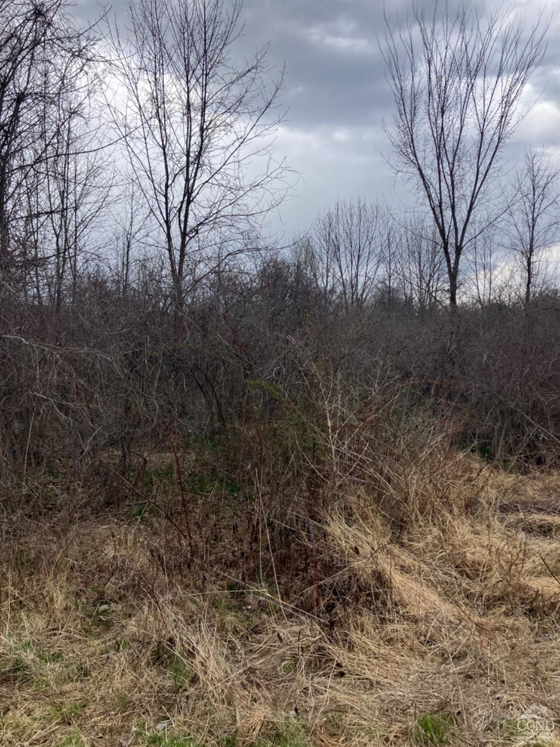 0 Embought Road Catskill, NY 12414 - Photo 9 of 12 Photo 9