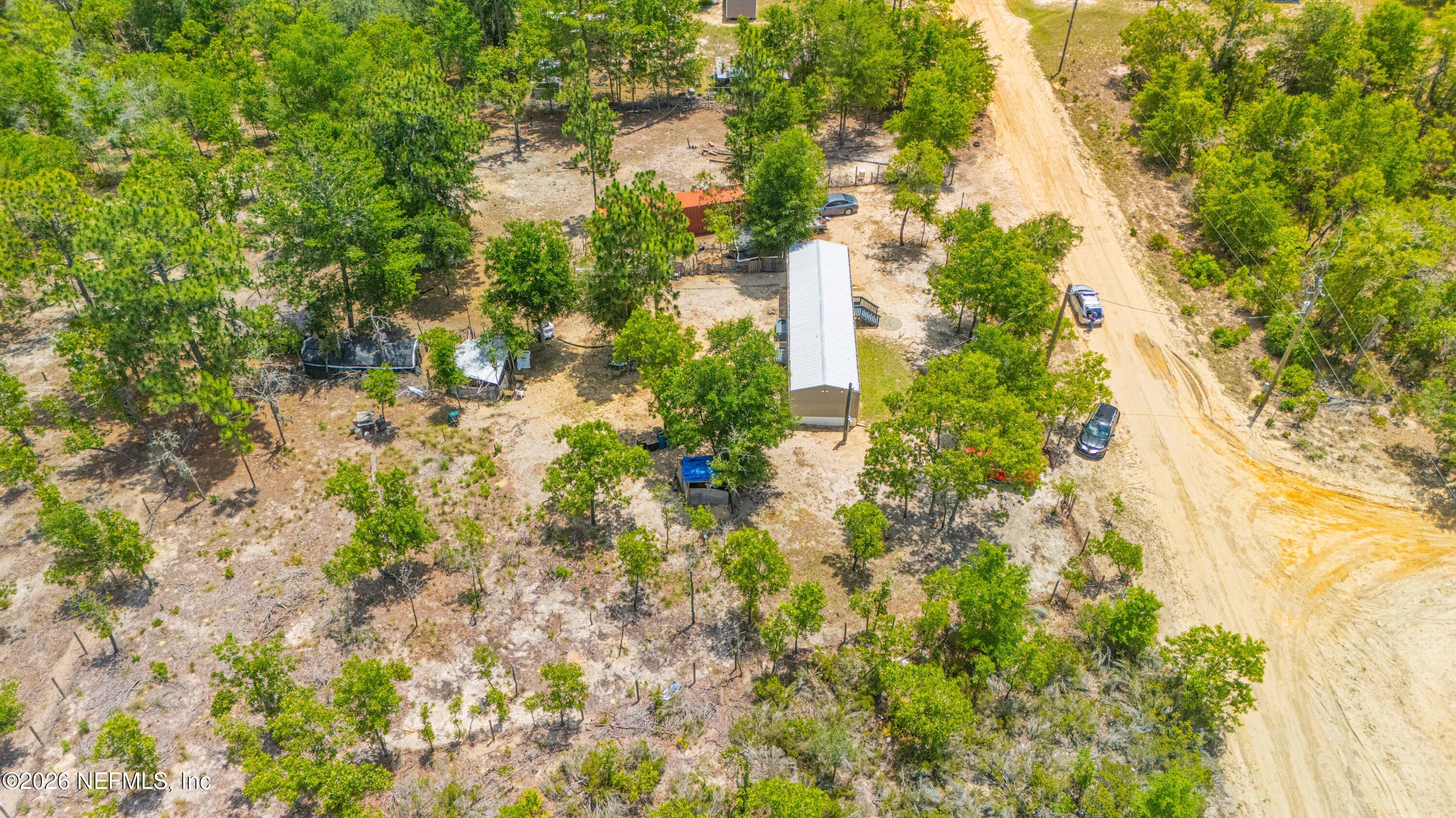 116 London Avenue Interlachen, FL 32148 - Photo 3 of 25 a view of a yard with plants and large trees