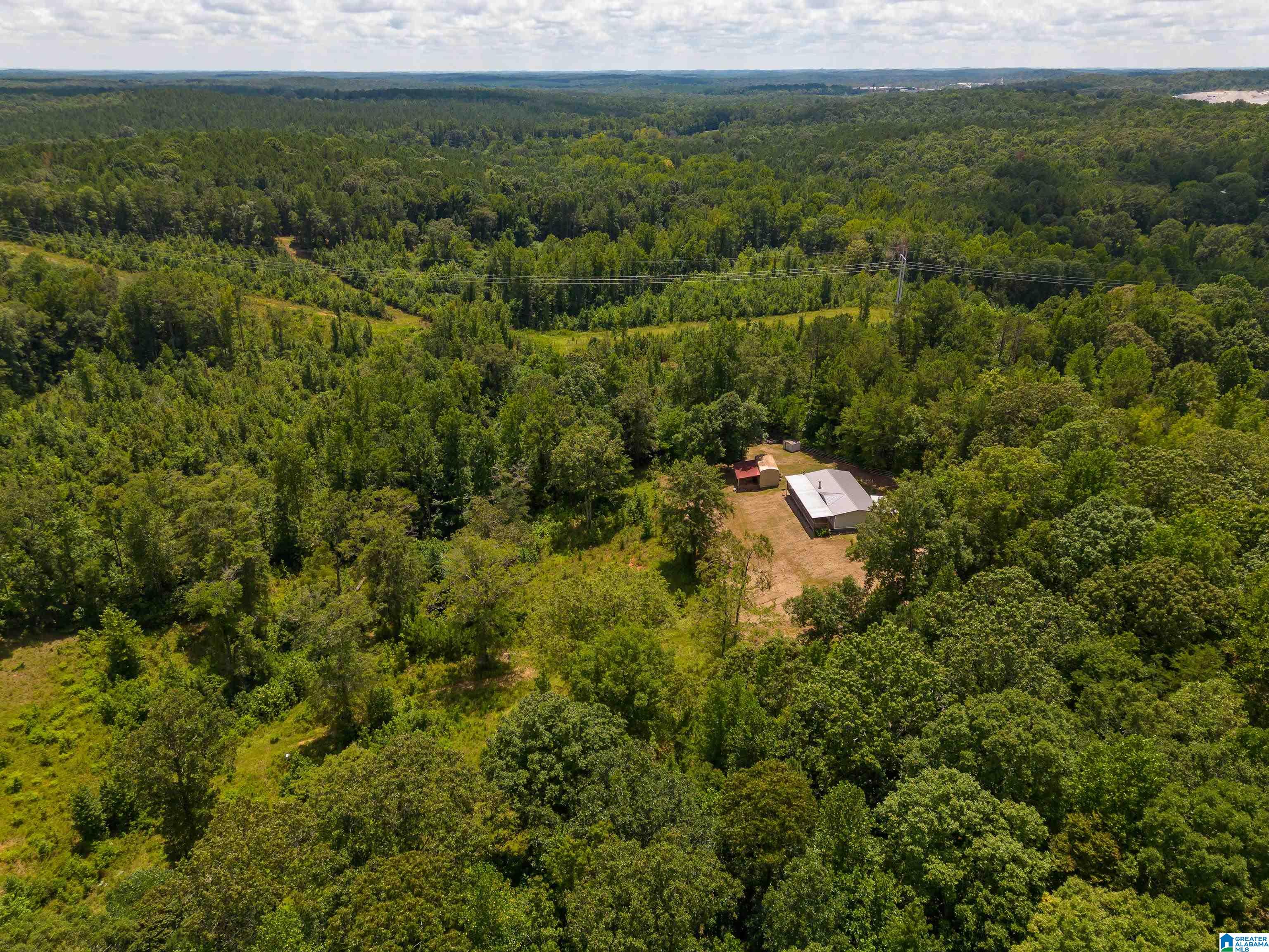 1042 Story Road Woodstock, AL 35188 - Photo 10 of 33