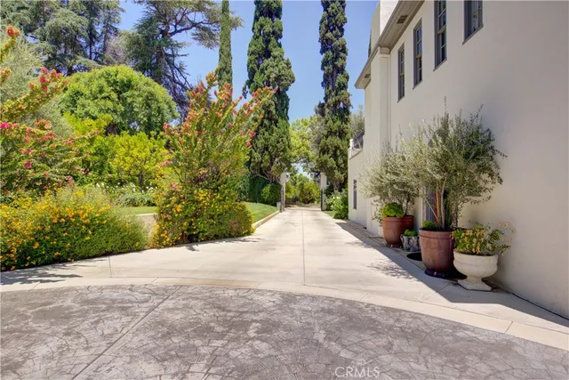 a view of a garden with potted plants