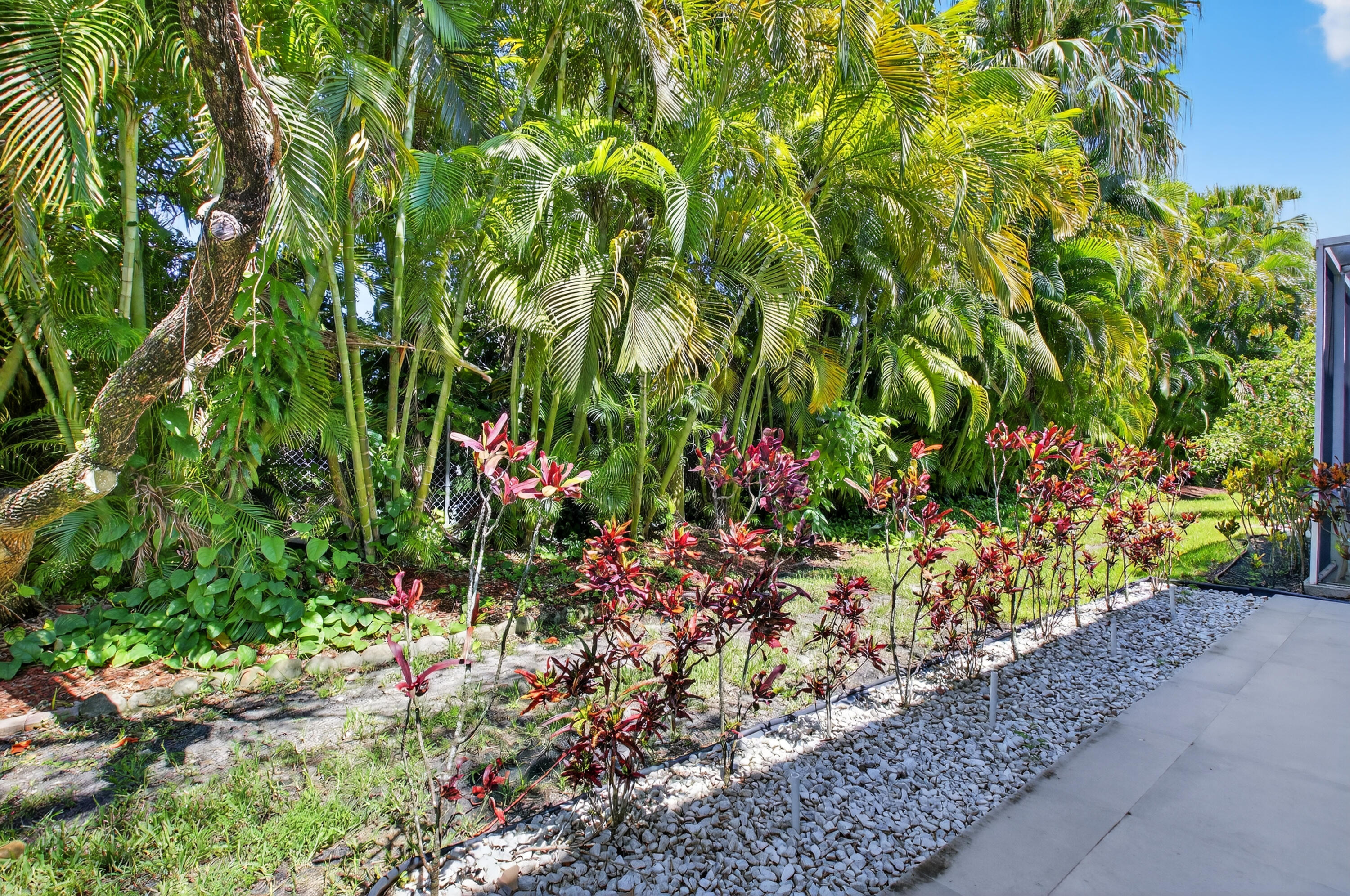 21048 Vía Eden Boca Raton, FL 33433 - Photo 13 of 53 a bunch of flowers in the garden