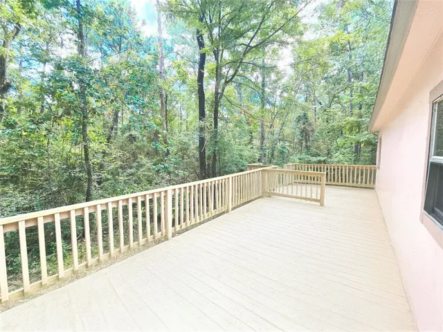 a view of a forest with trees