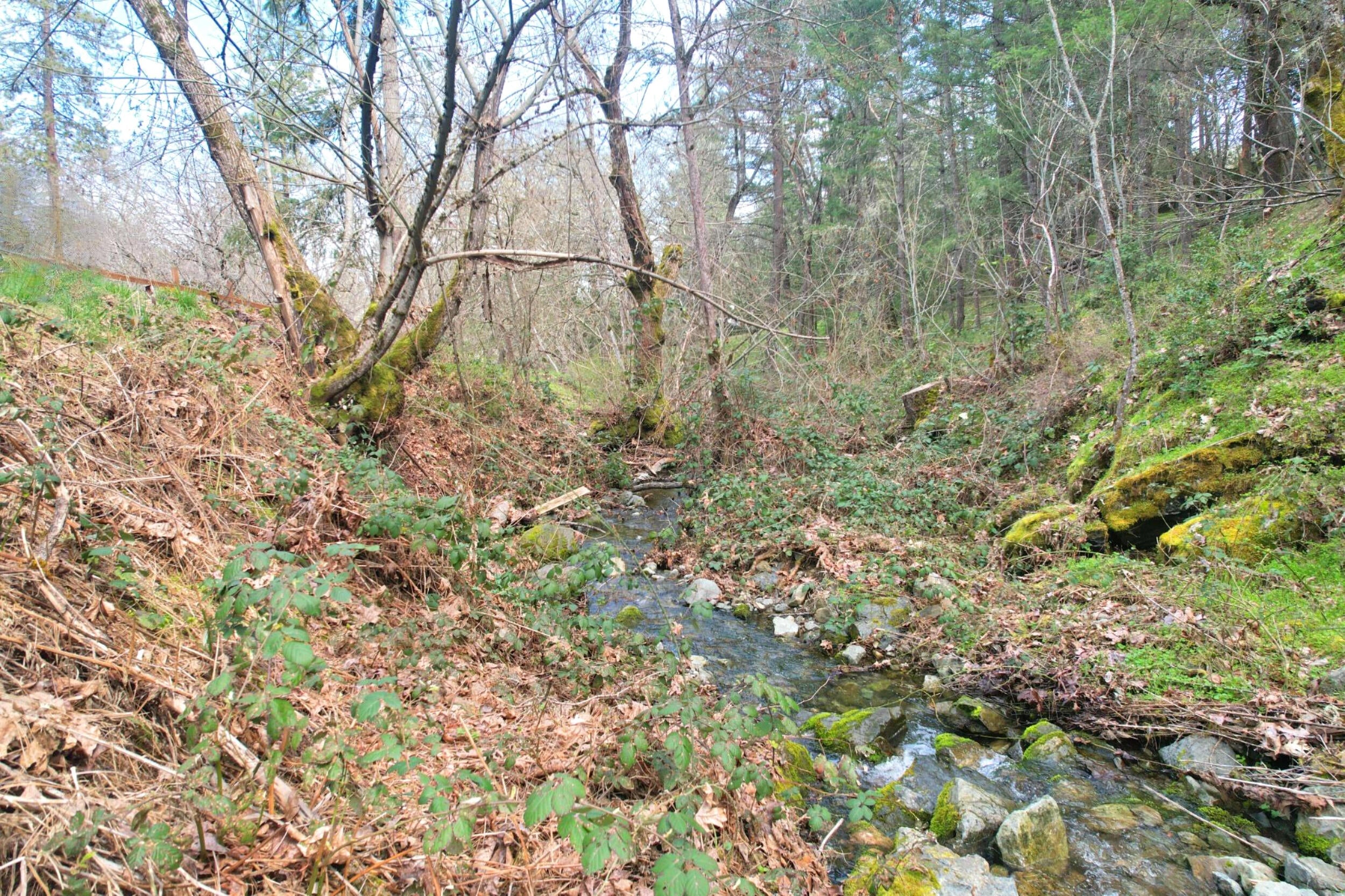 5355 Coleman Creek Road Medford, OR 97501 - Photo 64 of 76 creek (4)