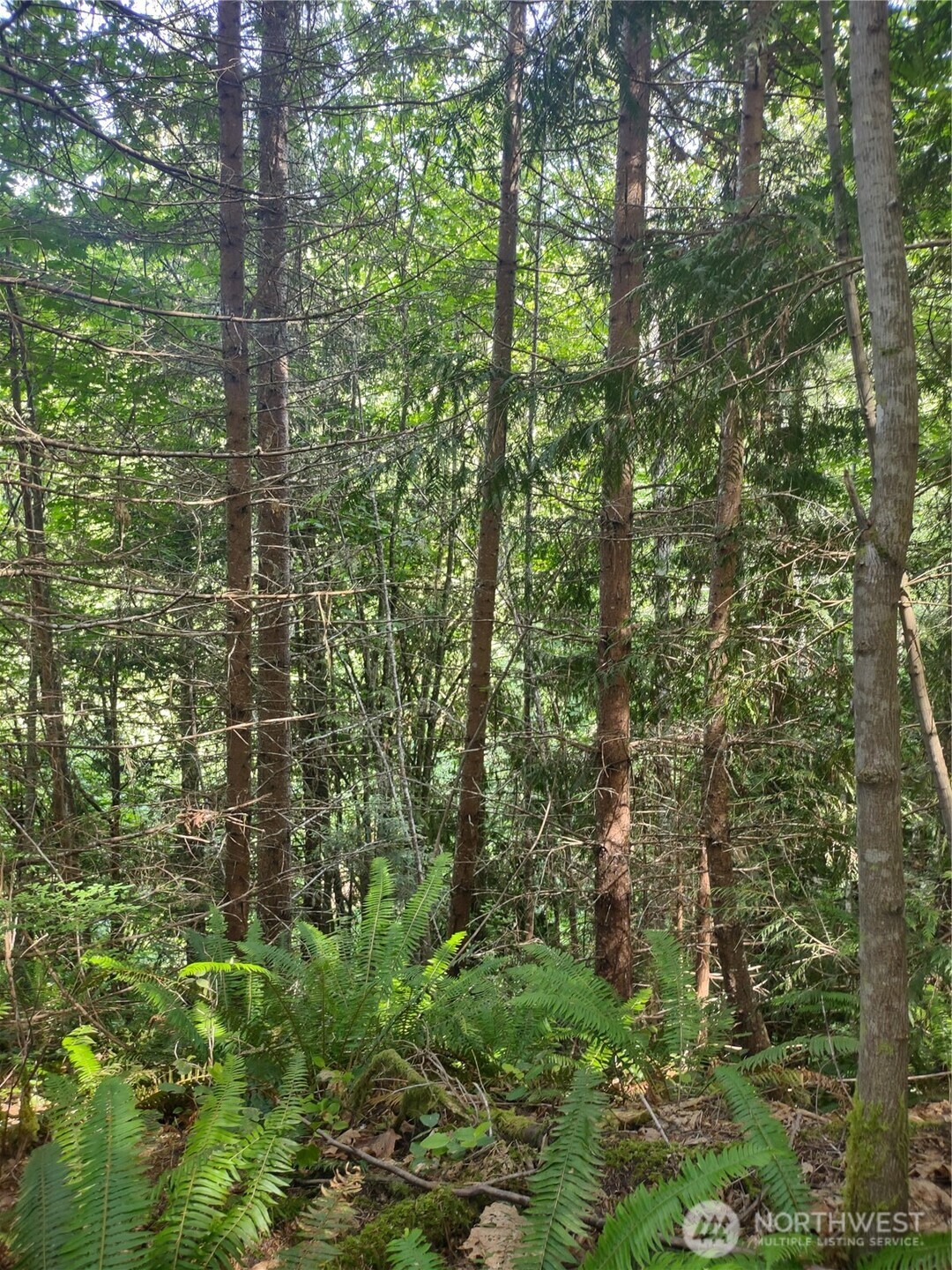 0 Hansen Road Port Angeles, WA 98363 - Photo 2 of 7