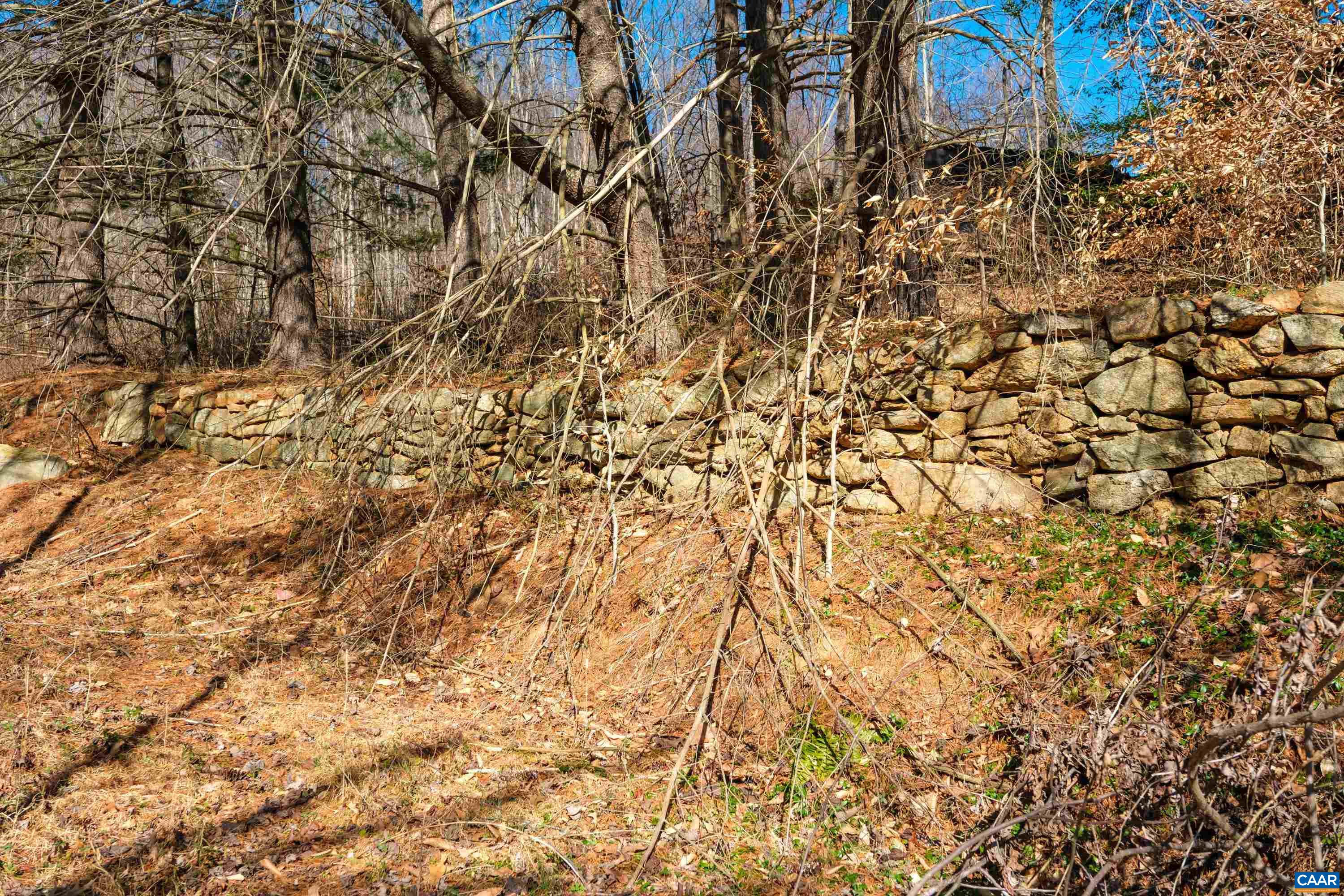 Perkins Hollow Lane Faber, VA 22938 - Photo 12 of 35 a view of under tree