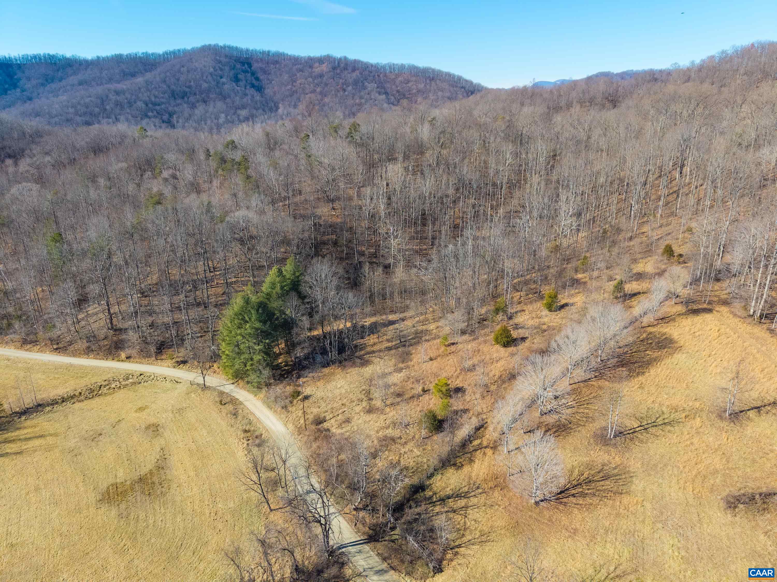 Perkins Hollow Lane Faber, VA 22938 - Photo 22 of 35 a view of a backyard with mountain view