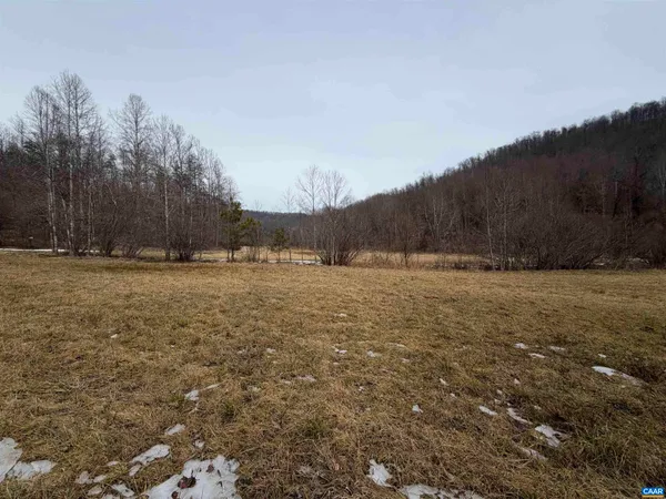 a view of outdoor space with lots of trees