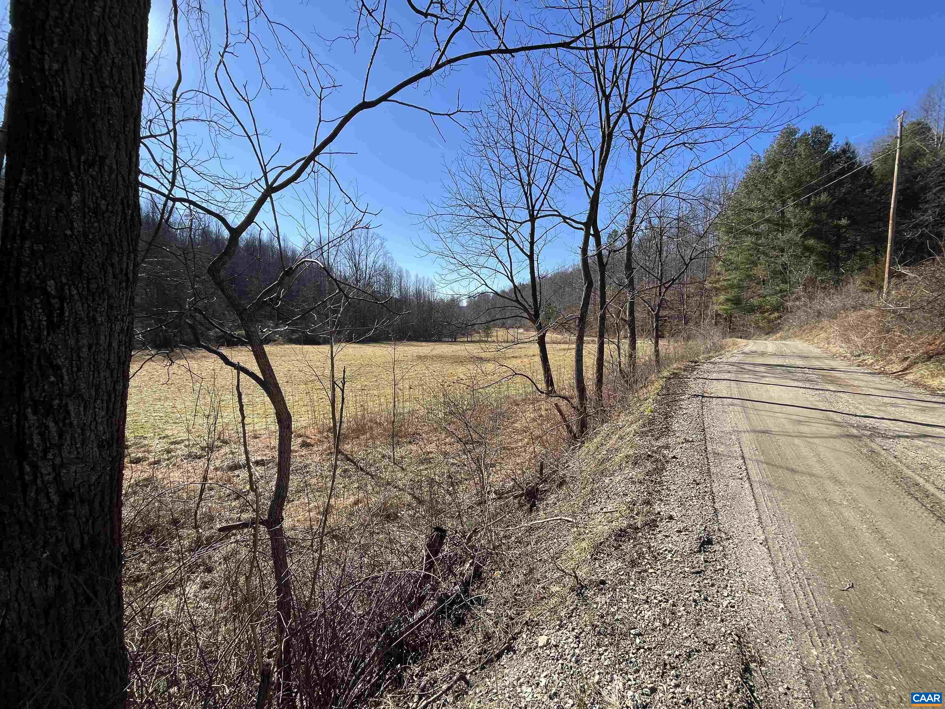 Perkins Hollow Lane Faber, VA 22938 - Photo 8 of 35 a view of a yard with large trees