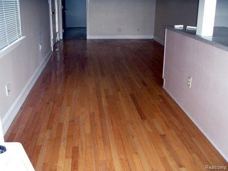 13187 Hannan Road Romulus, MI 48174 - Photo 5 of 12 LIVING
