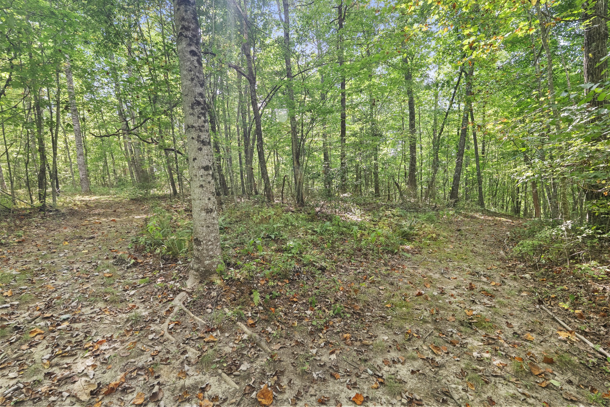 625 Meadows Road Sparta, TN 38583 - Photo 42 of 87 Gallery Image 42