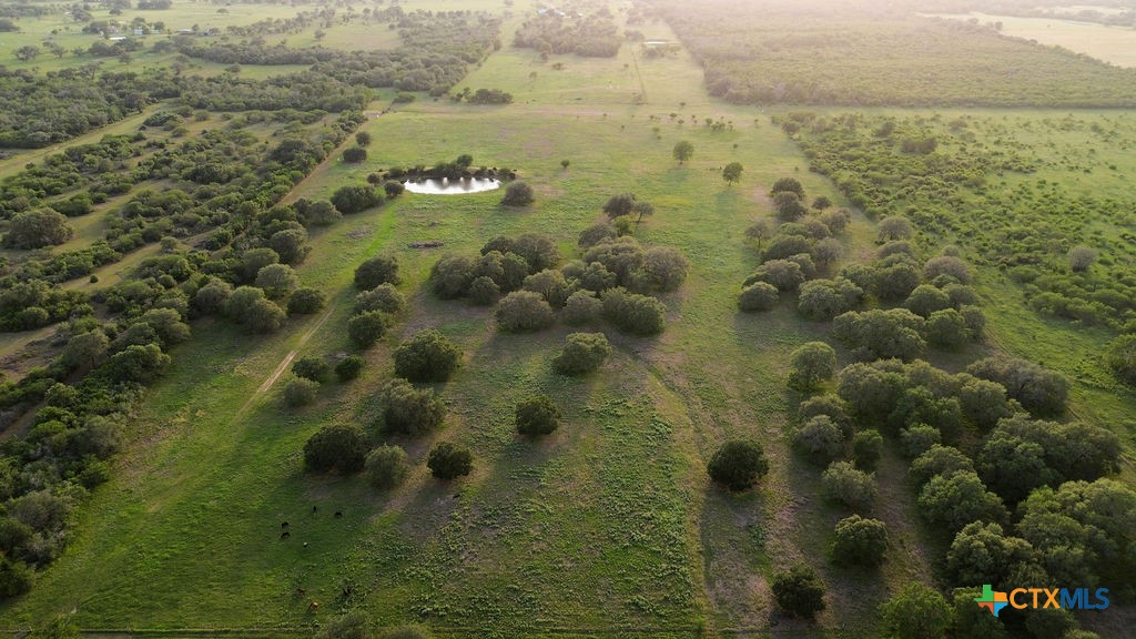 3240 Concrete-Edgar Road Cuero, TX 77954 - Photo 3 of 26