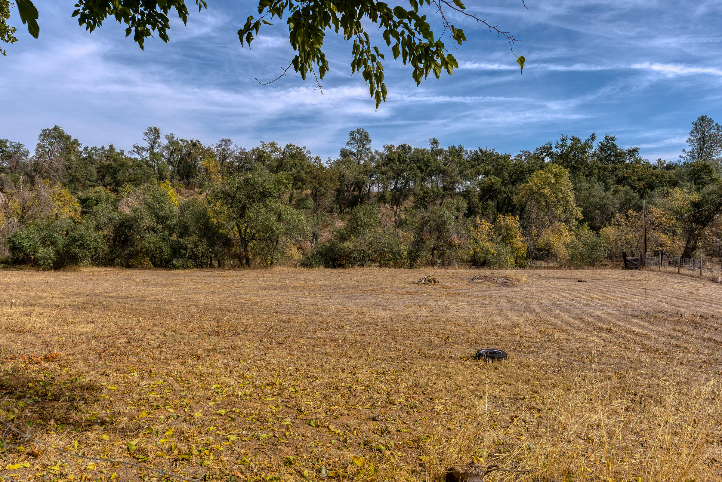 19970 Loafer Way Redding, CA 96002 - Photo 16 of 20 a view of a yard