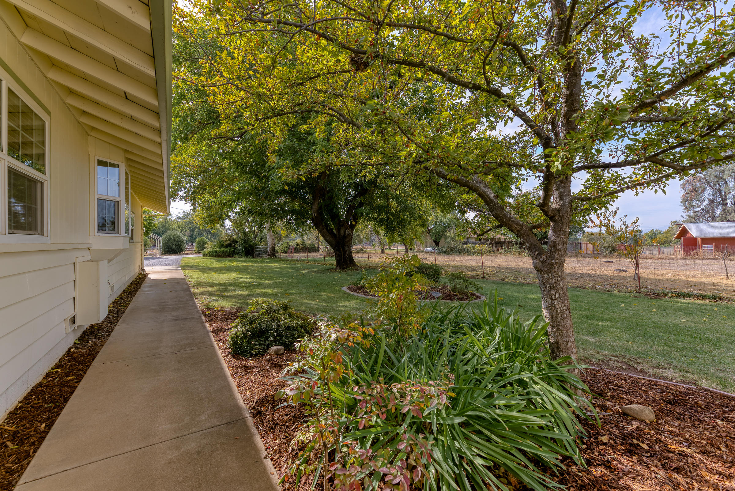 19970 Loafer Way Redding, CA 96002 - Photo 19 of 20 a view of a yard with plants and a large tree
