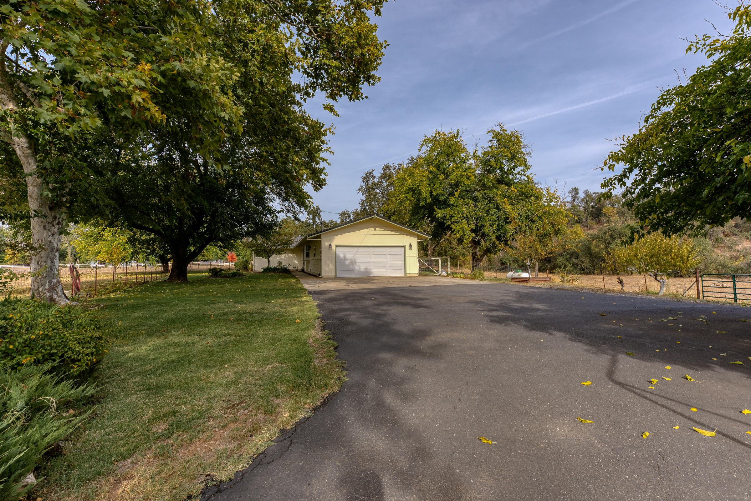 19970 Loafer Way Redding, CA 96002 - Photo 20 of 20 a tall tree in middle of green field