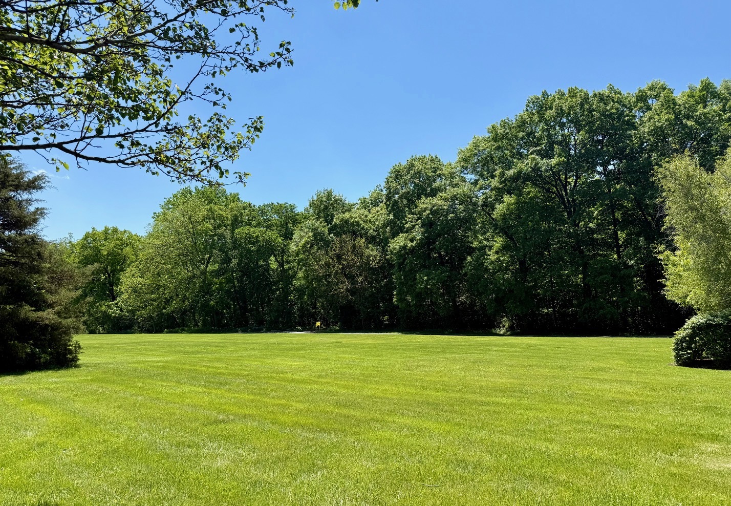 37W305 Crane Road St. Charles, IL 60175 - Photo 10 of 12