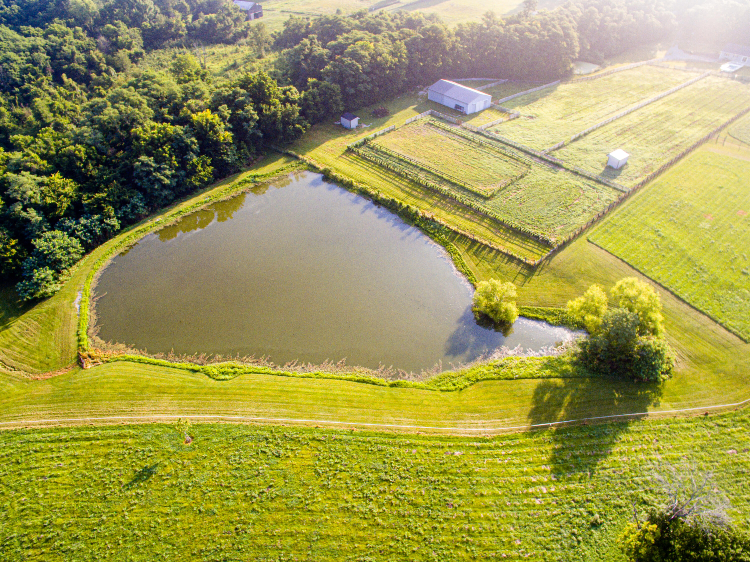 327 Collins Road Paris, KY 40361 - Photo 32 of 73 DJI_0062