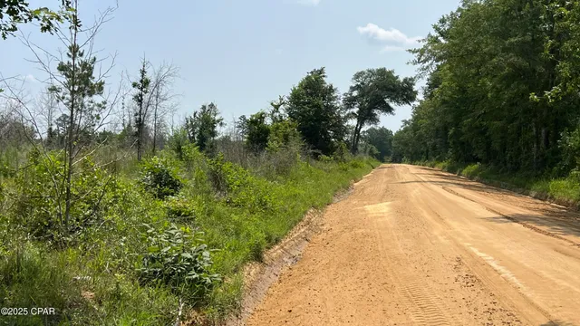 $105,000 | 0 Christmas Road, Campbellton, FL 32426