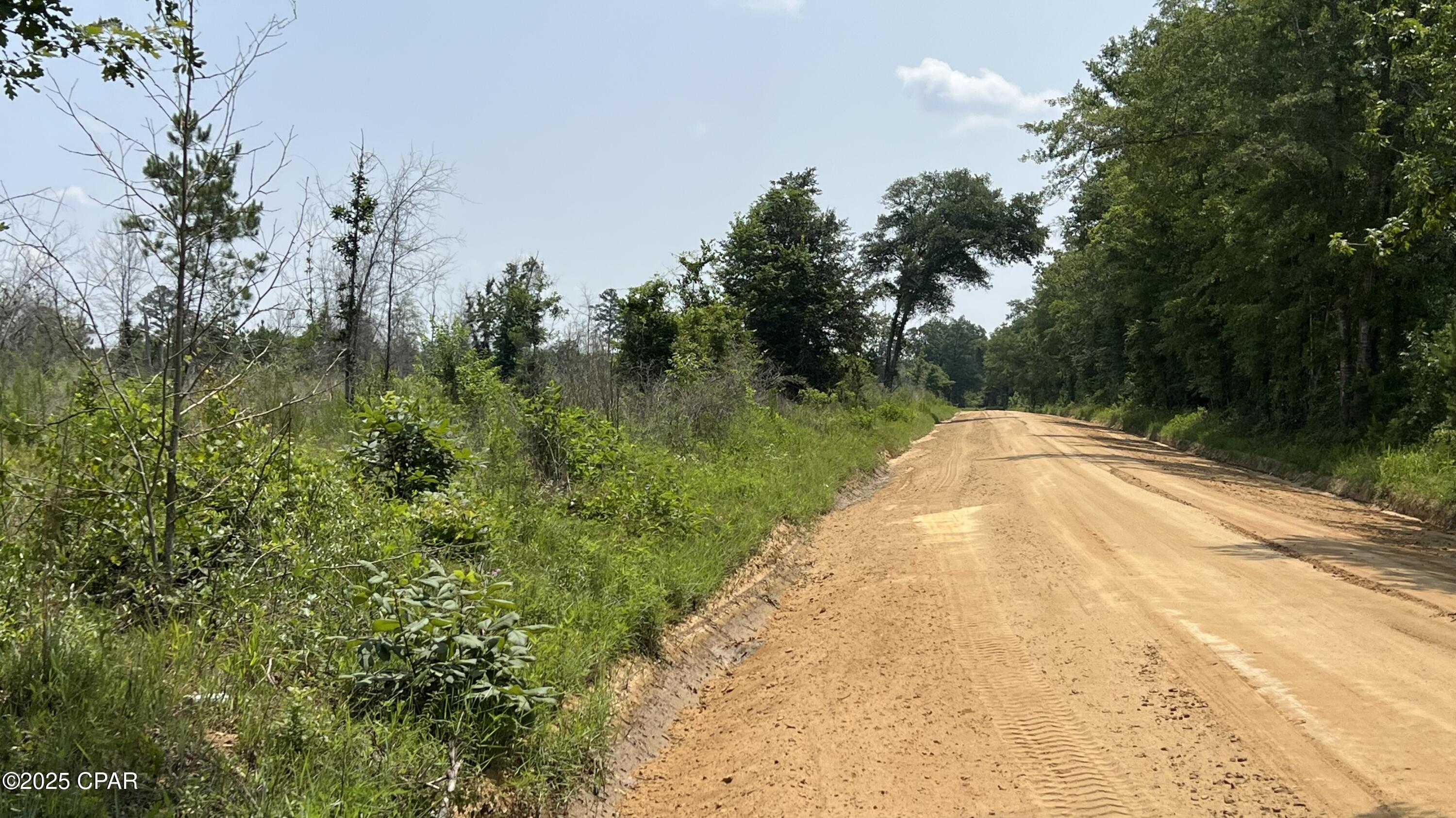0 Christmas Road Campbellton, FL 32426 - Photo 2 of 7