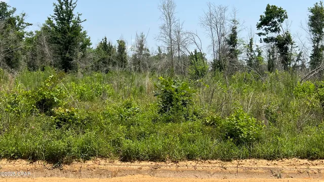 $105,000 | 0 Christmas Road, Campbellton, FL 32426