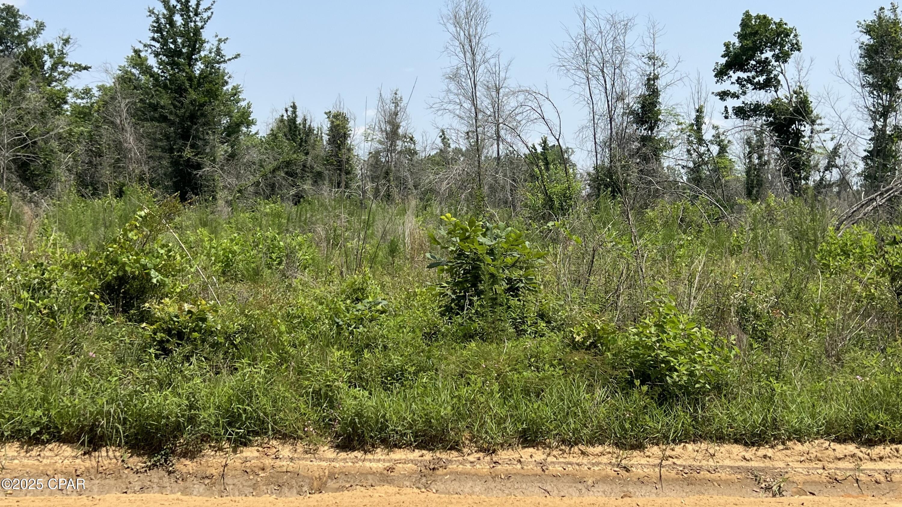 0 Christmas Road Campbellton, FL 32426 - Photo 3 of 7