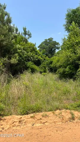 $105,000 | 0 Christmas Road, Campbellton, FL 32426