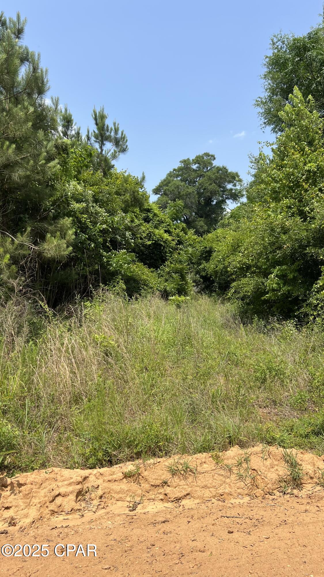 0 Christmas Road Campbellton, FL 32426 - Photo 4 of 7