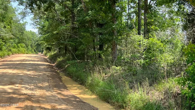 $105,000 | 0 Christmas Road, Campbellton, FL 32426