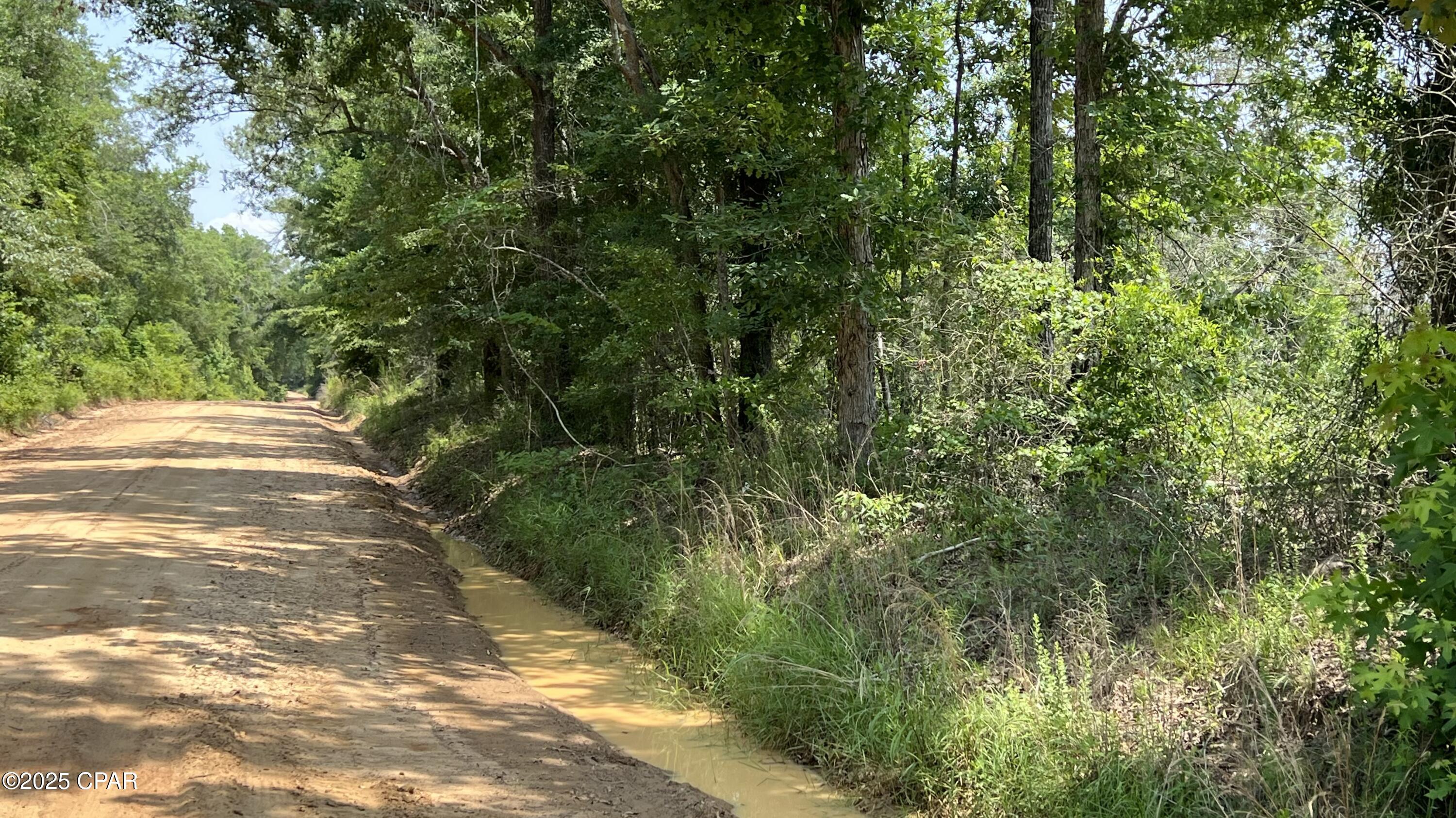 0 Christmas Road Campbellton, FL 32426 - Photo 5 of 7