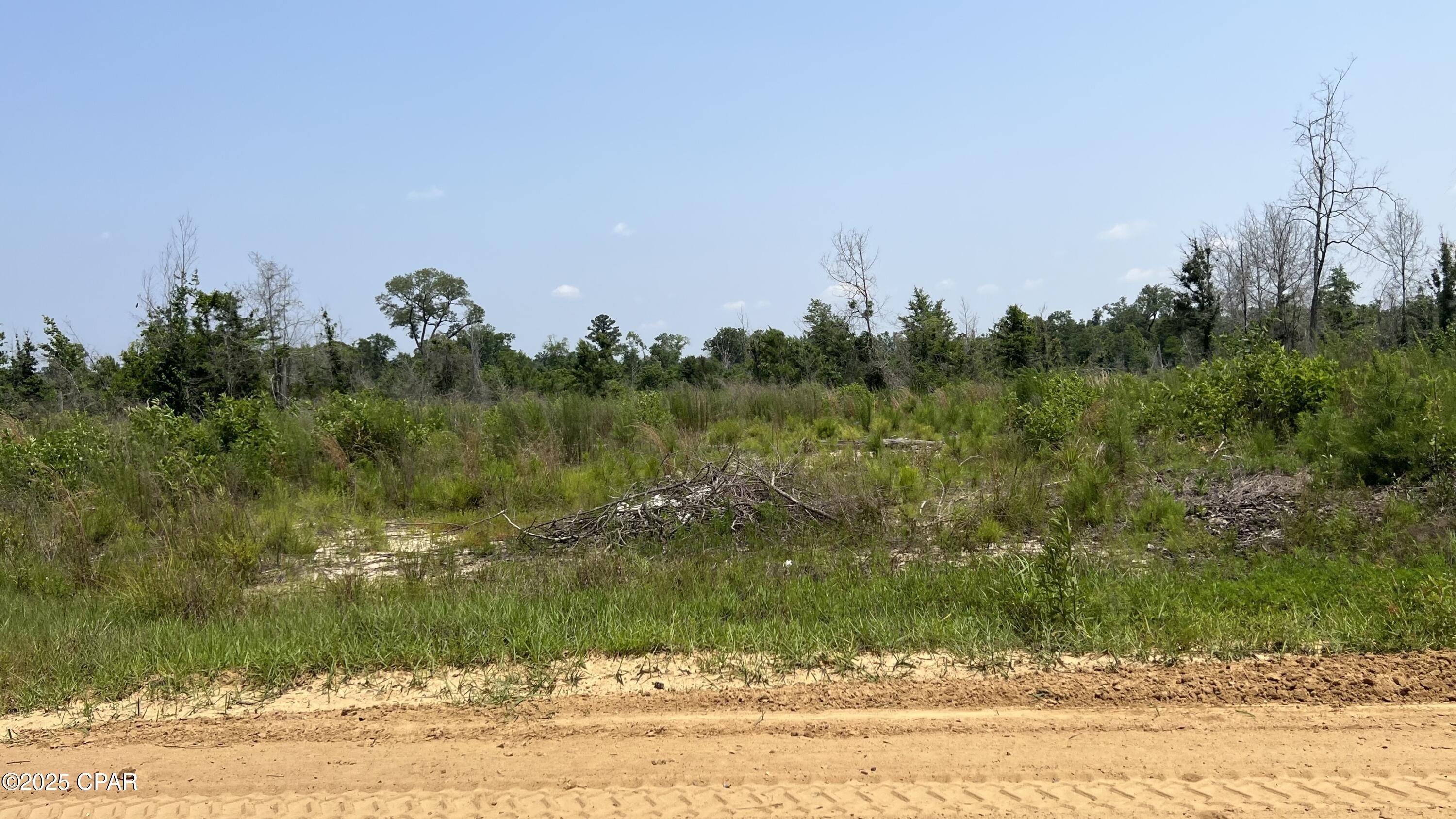 0 Christmas Road Campbellton, FL 32426 - Photo 6 of 7