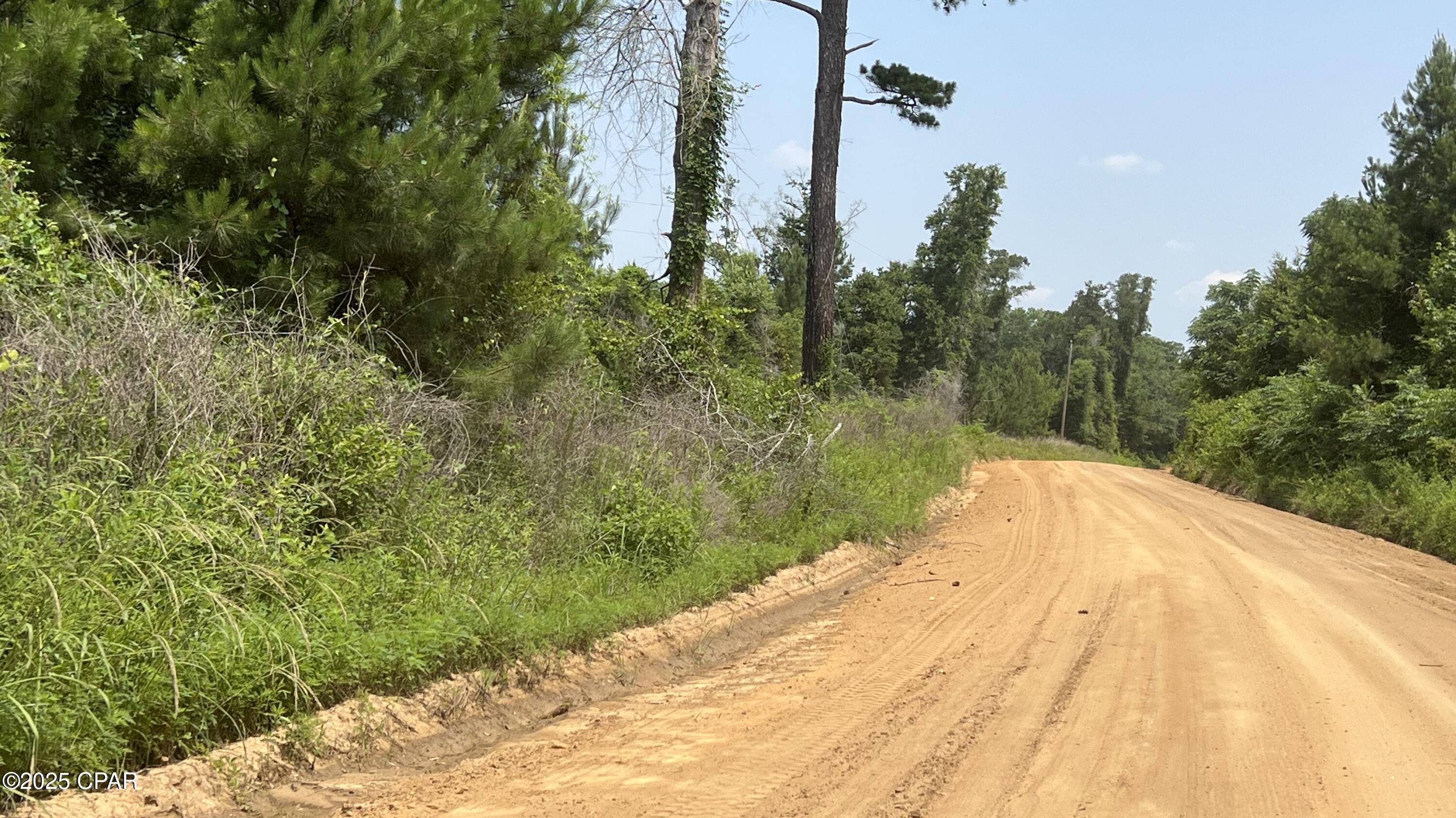 0 Christmas Road Campbellton, FL 32426 - Photo 7 of 7