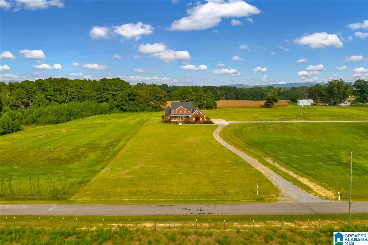1080 Moore Road Altoona, AL 35952 - Photo 45 of 49